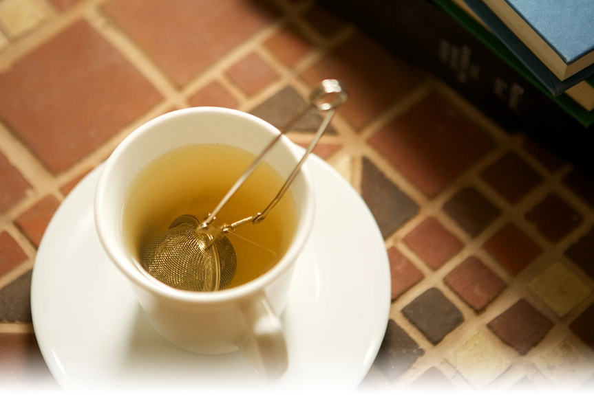 Mesh Spring Tea Infuser